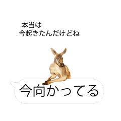 ゴリラで返信2 Lineスタンプ かぴお