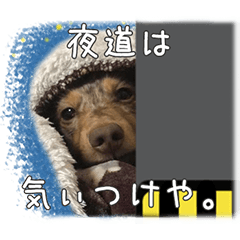 関西弁を喋る犬ちょこ太くん Lineスタンプ Uca